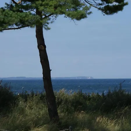 Reet Hus Hanbutt In Ferienhaus